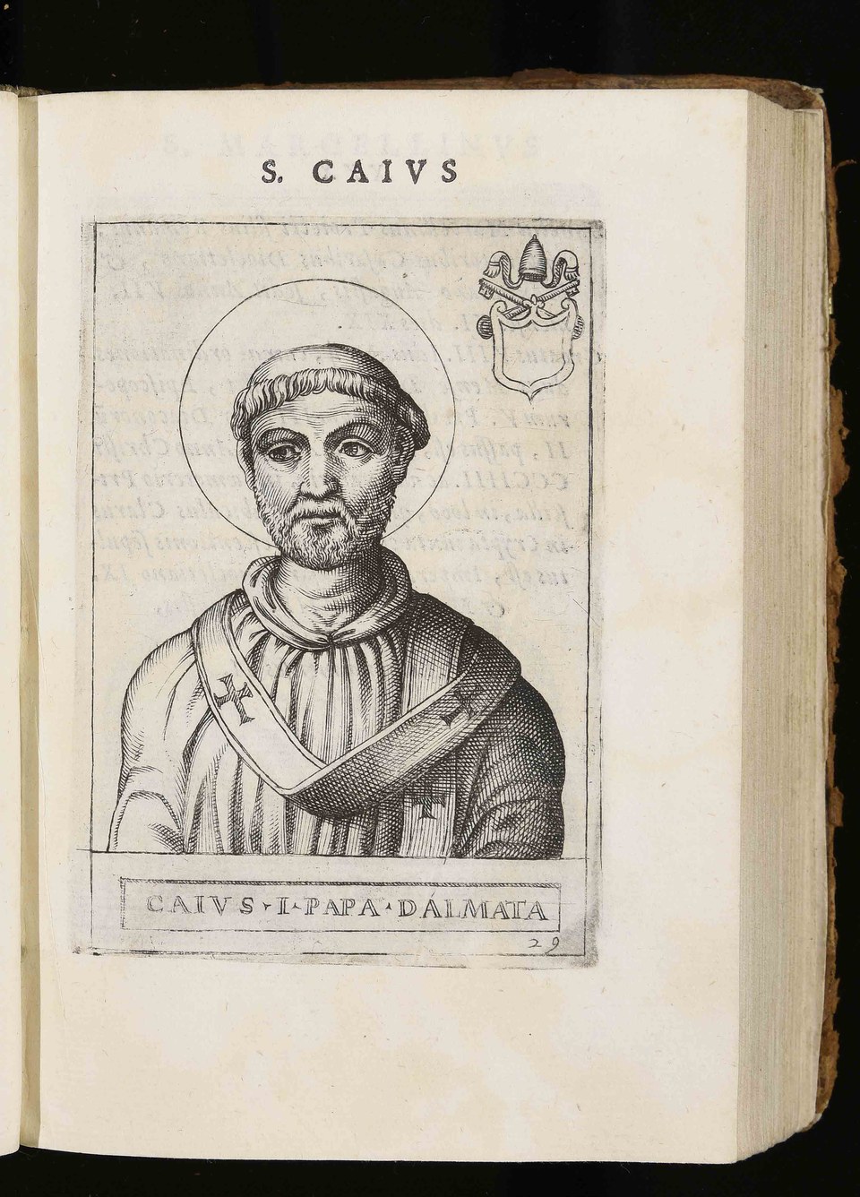 Pope Saint Caius: The Twenty-Eighth Pope, the Ladder of Holy Orders, and the Emperor's Kinsman