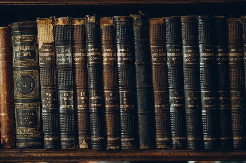 Spines of antique leather-bound books on a wooden shelf, representing accumulated wisdom and institutional knowledge transmitted across generations