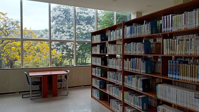 Library shelves filled with books beside a tall window