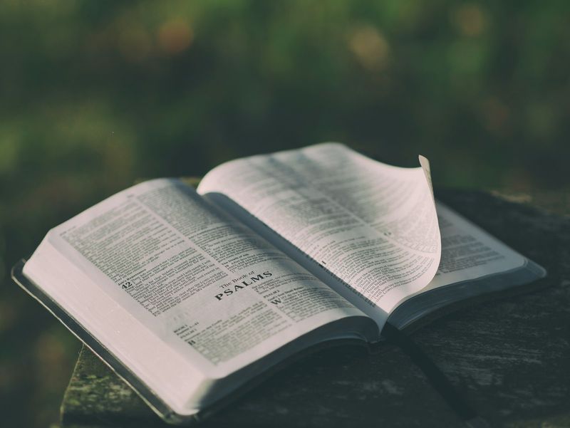 An open Bible resting on a grey surface, evoking Scripture as the medium through which God progressively reveals himself